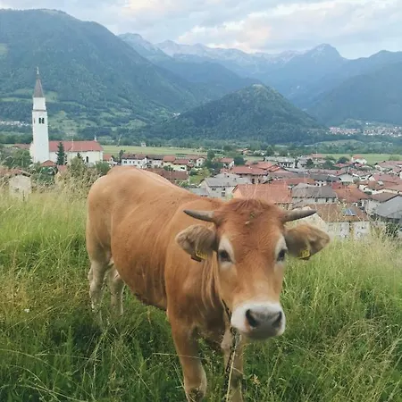 Hisa Bubi * Tolmin